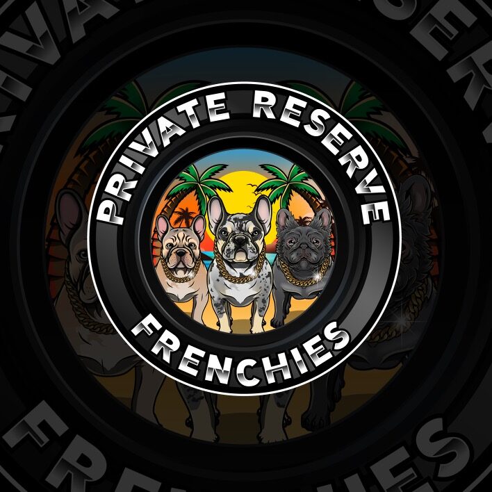 Private Reserve Frenchies, French Bulldog Breeder, Florida Frenchie Breeder, Miami Frenchie Breeder, Miami French Bulldogs, Florida Frenchies, Best Breeder in Florida